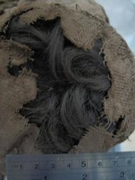 Hallados restos de nicotina en el cabello de las momias chilenas de Atacama
