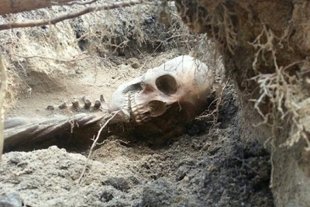 Encuentra un esqueleto de hace 400 años en su patio y le obligan a pagar 5000 dólares